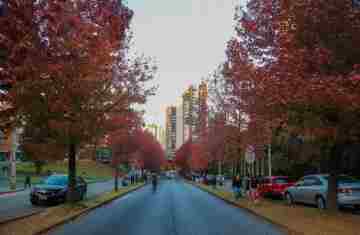  Saúde reforça importância de cuidados com doenças respiratórias típicas do outono 